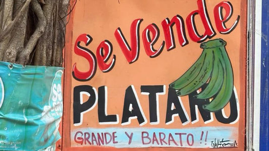 Cultura en movimiento: construyendo el "tercer espacio"